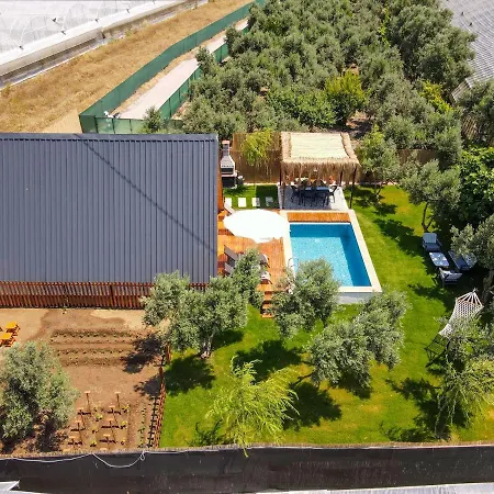 Assevilla فيلة